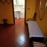 Oleandro