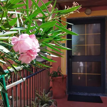 Apartment Oleandro Montale (Liguria)